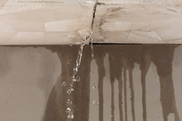 Professional Flood Damage Cleanup technician working in Mendota, IL